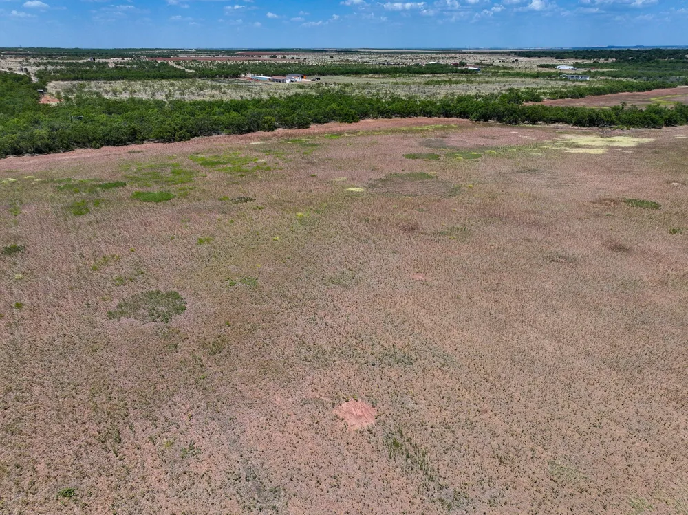 PR 3561 Anson, TX 79501