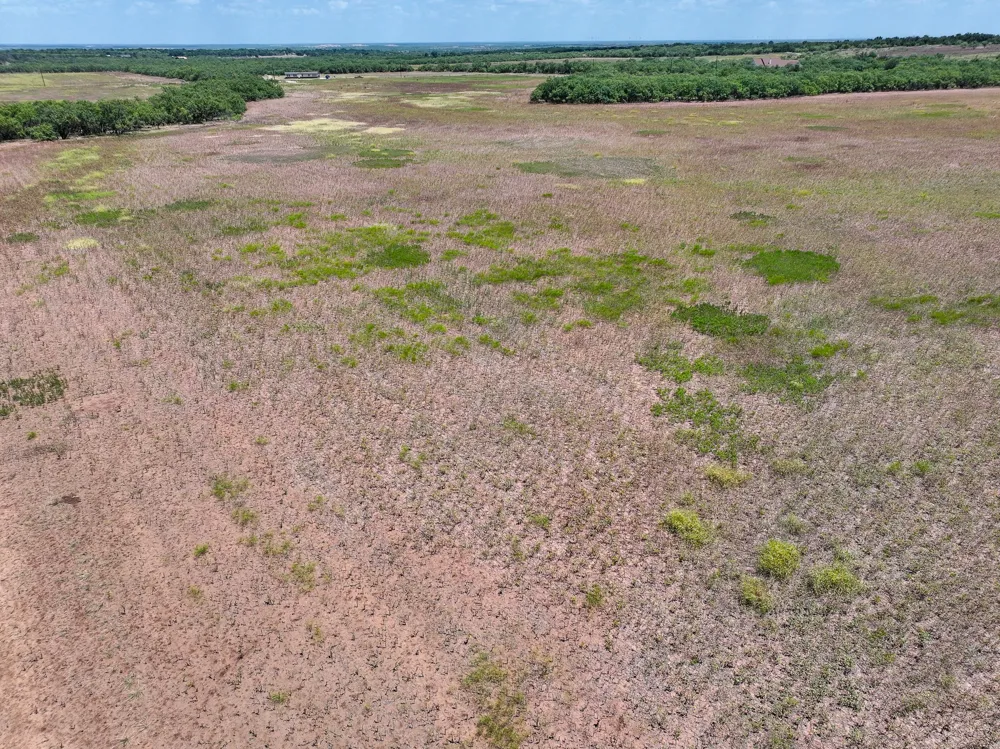 PR 3561 Anson, TX 79501