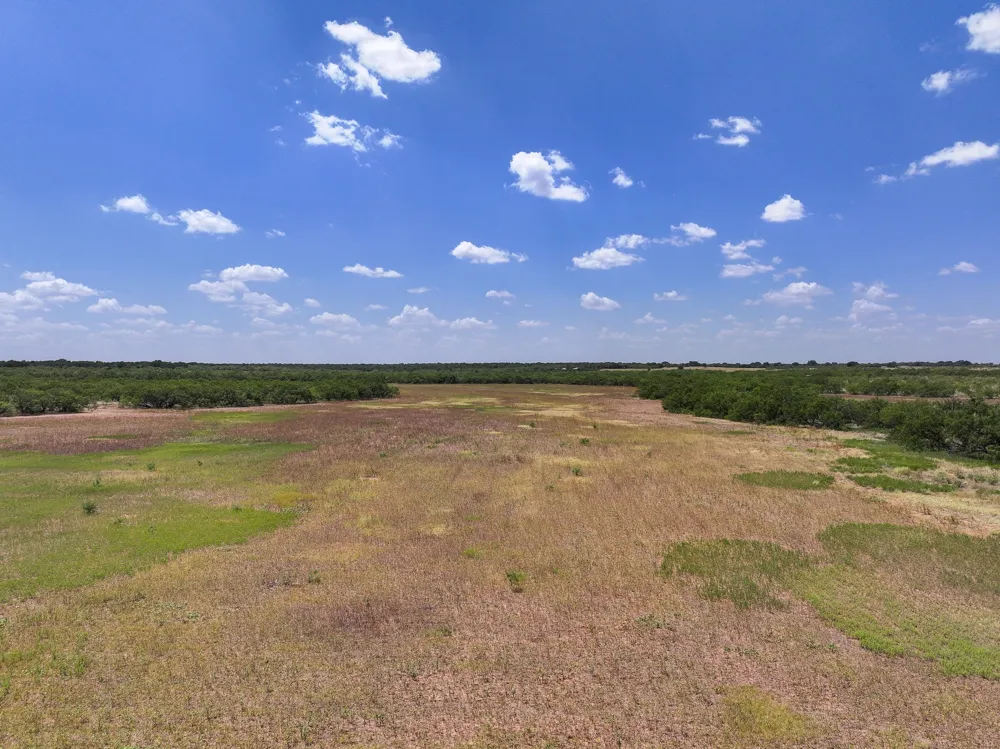 PR 3561 Anson, TX 79501
