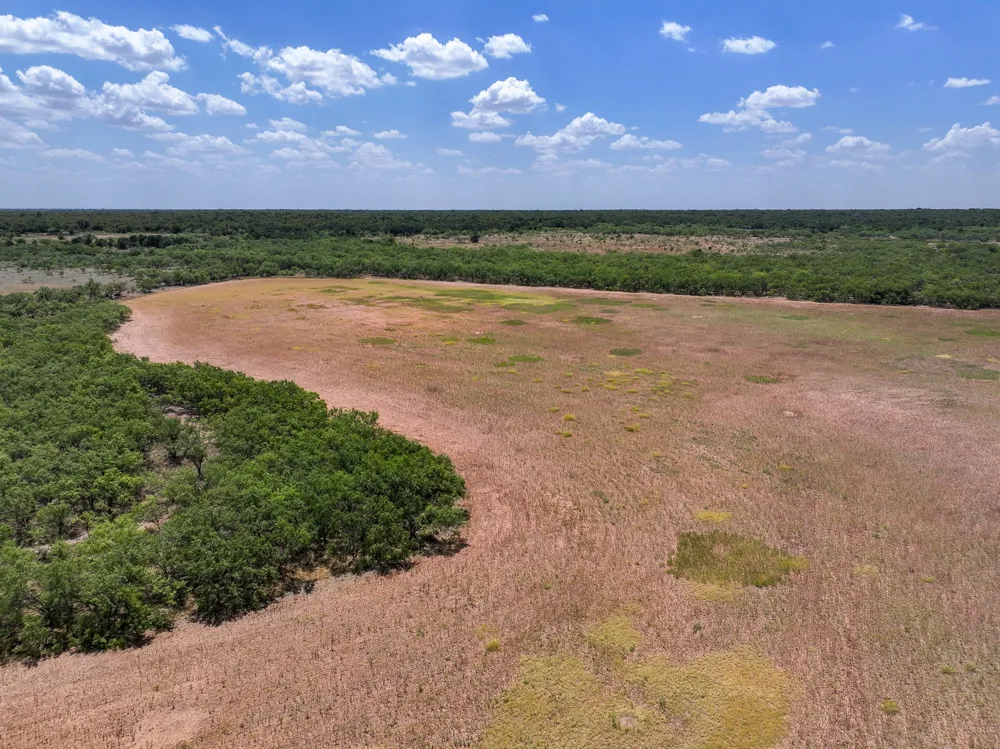 PR 3561 Anson, TX 79501