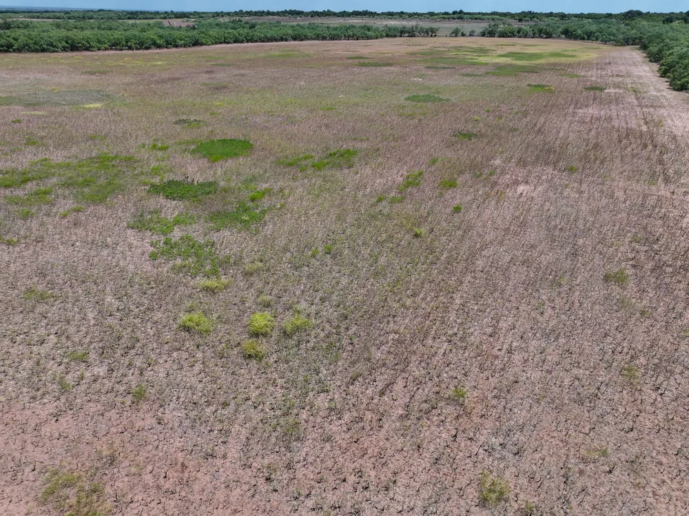 PR 3561 Anson, TX 79501
