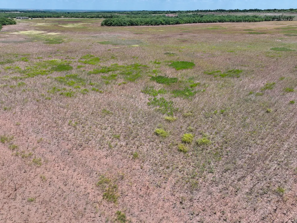 PR 3561 Anson, TX 79501