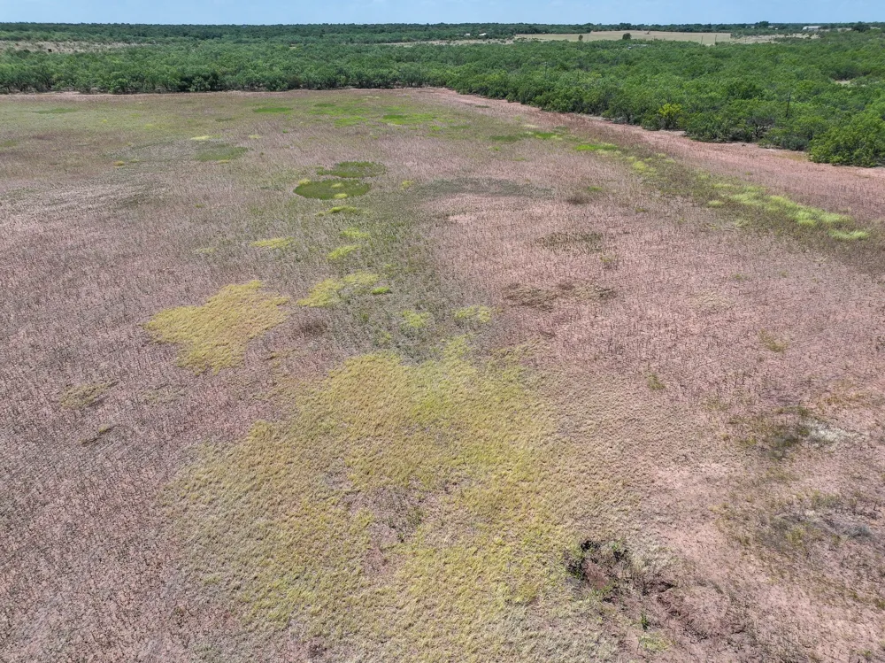 PR 3561 Anson, TX 79501
