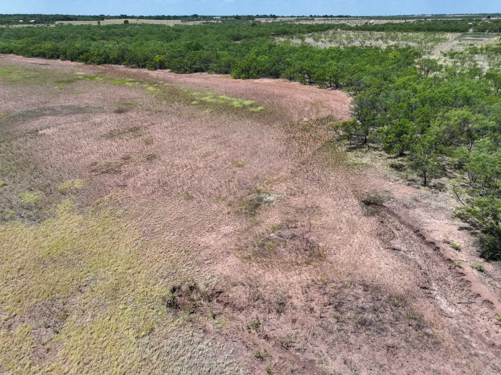 PR 3561 Anson, TX 79501
