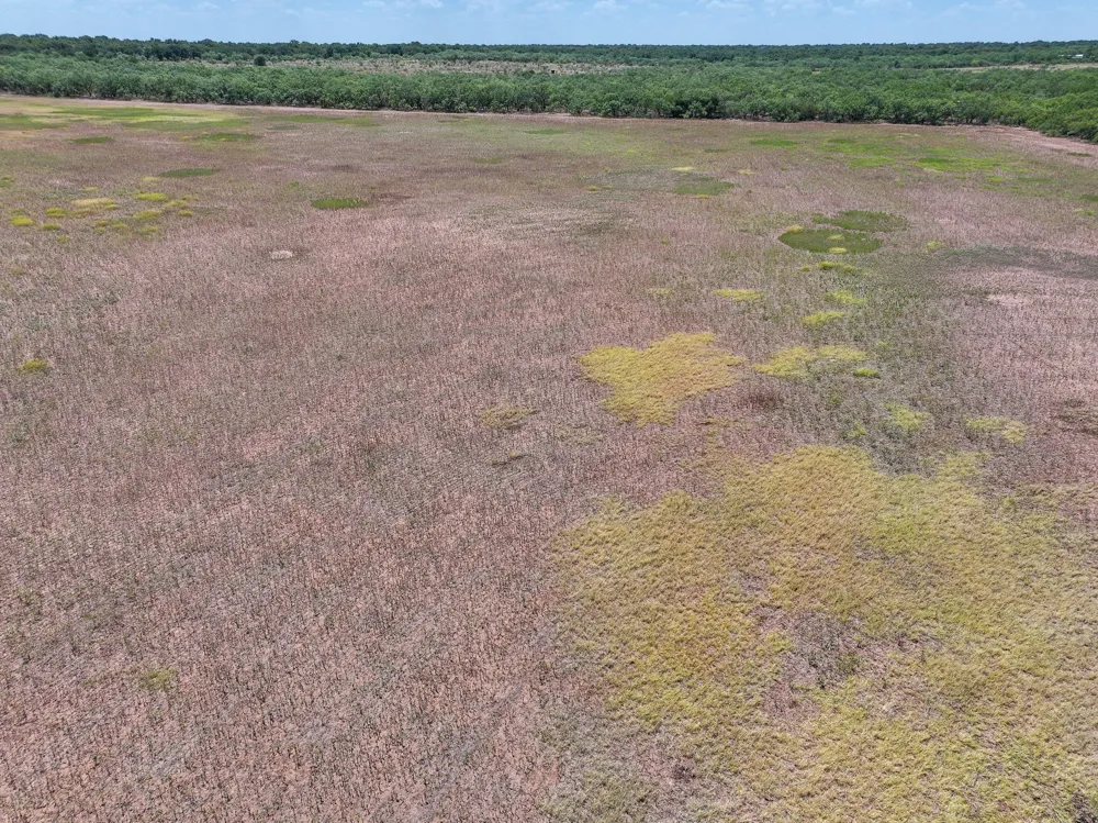 PR 3561 Anson, TX 79501