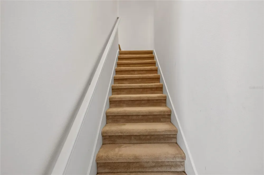 8013 BASILICA LANE Winter Garden, FL 34787