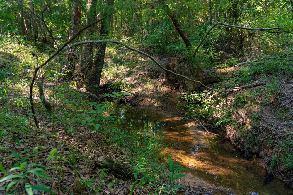 County Road 3302 Brownsboro, TX 75756