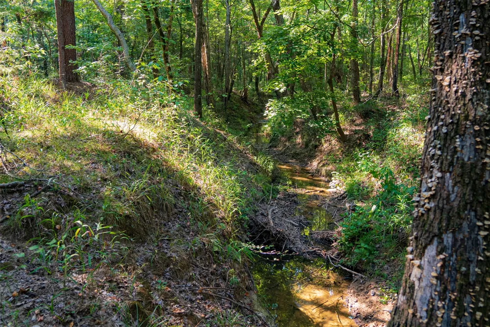 County Road 3302 Brownsboro, TX 75756