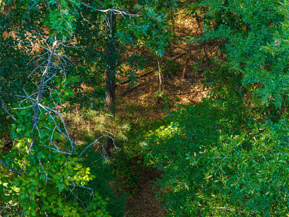 County Road 3302 Brownsboro, TX 75756