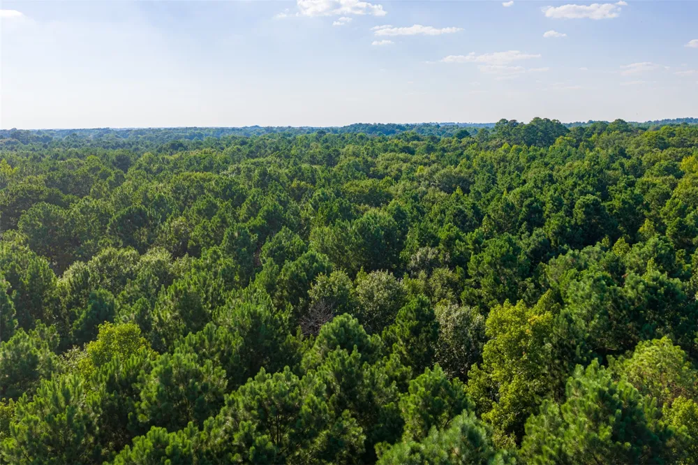 County Road 3302 Brownsboro, TX 75756