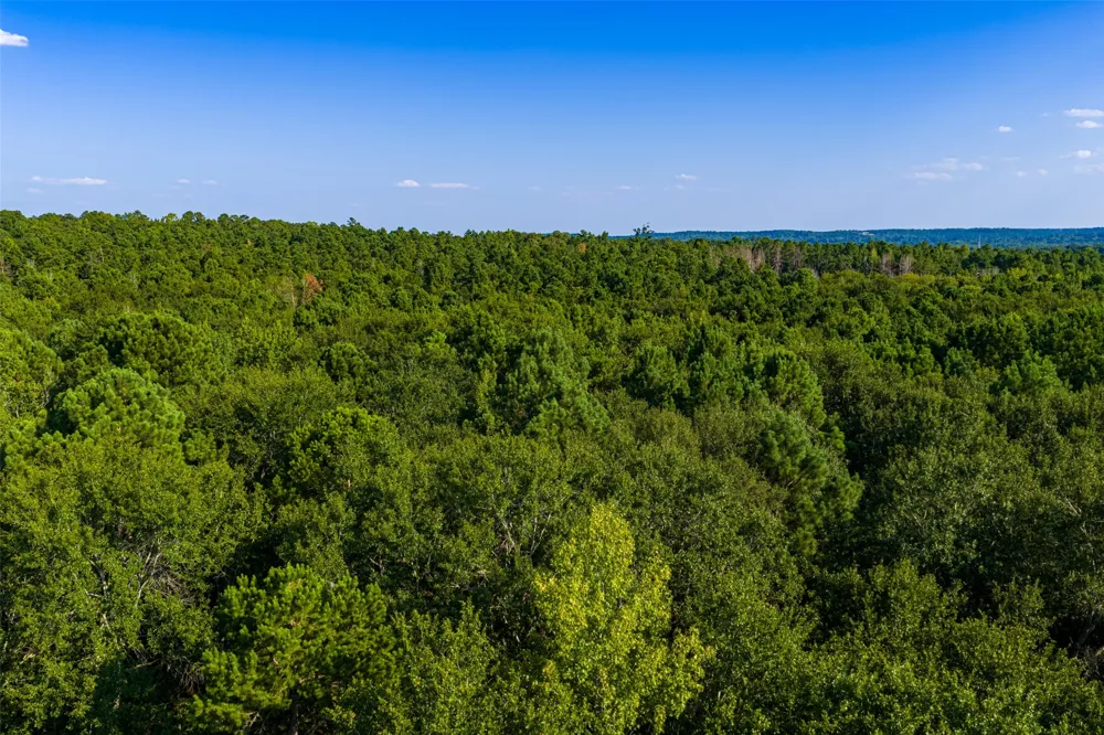 County Road 3302 Brownsboro, TX 75756
