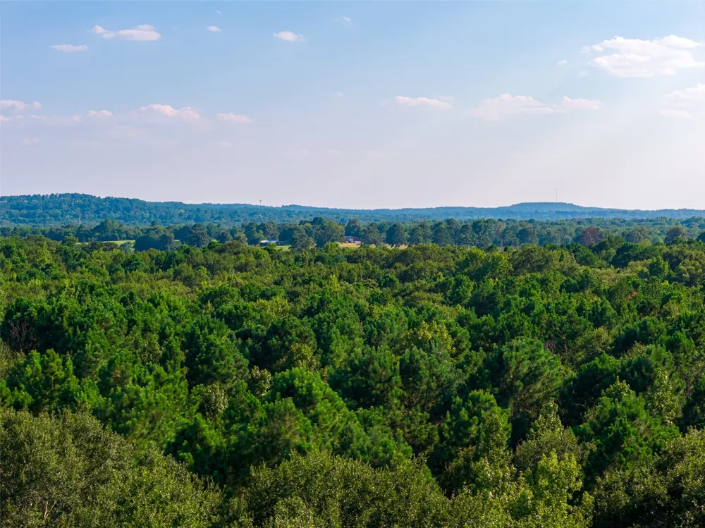 County Road 3302 Brownsboro, TX 75756