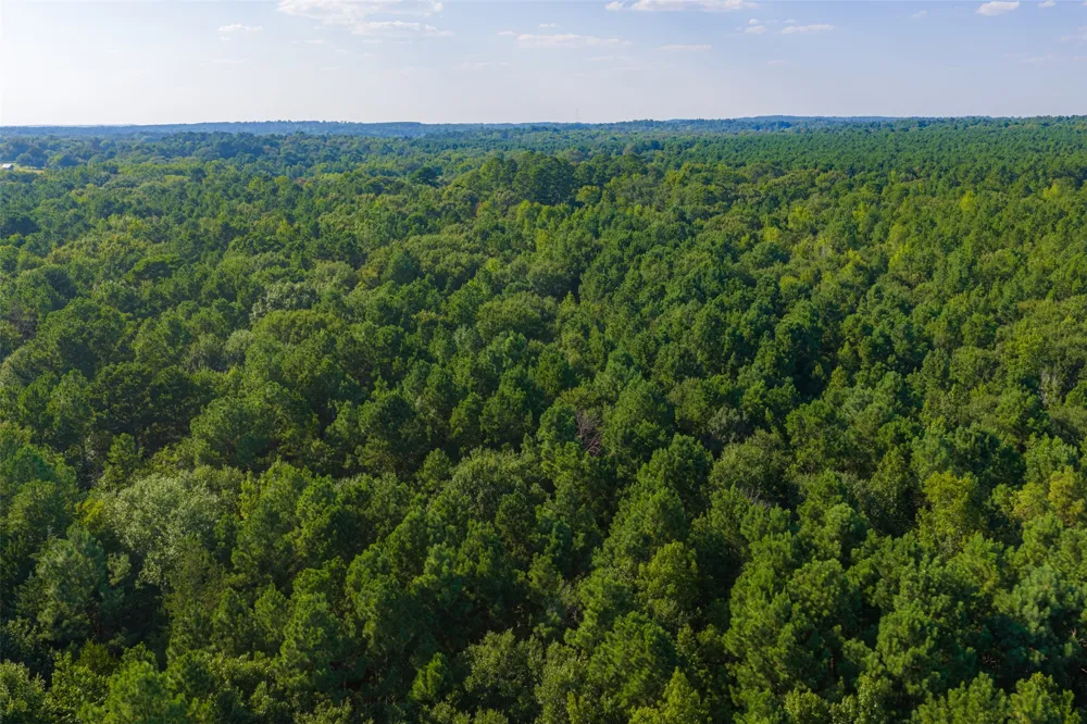 County Road 3302 Brownsboro, TX 75756