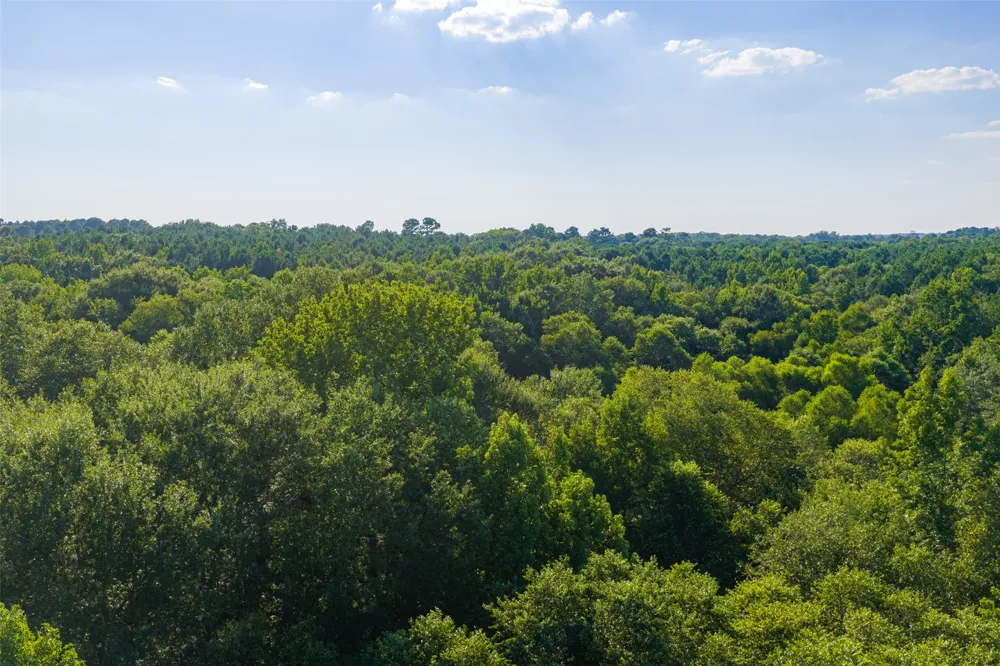 County Road 3302 Brownsboro, TX 75756