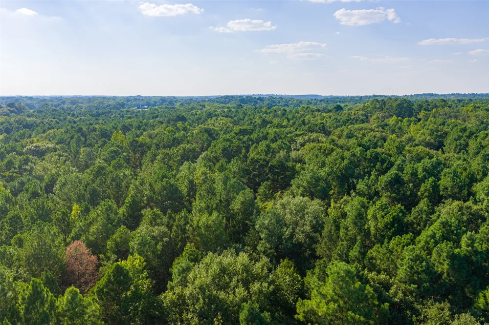 County Road 3302 Brownsboro, TX 75756