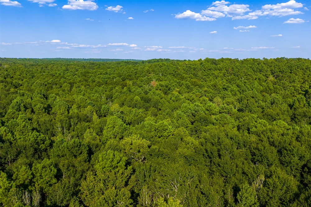 County Road 3302 Brownsboro, TX 75756