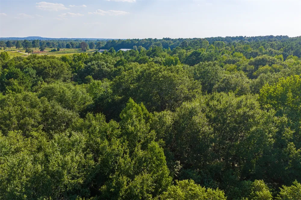 County Road 3302 Brownsboro, TX 75756