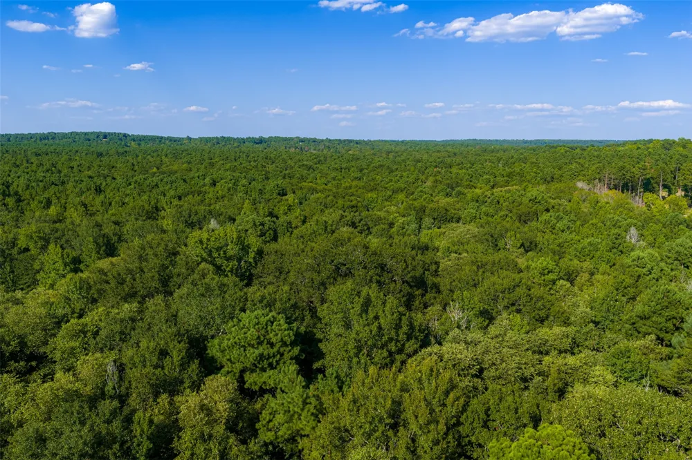 County Road 3302 Brownsboro, TX 75756