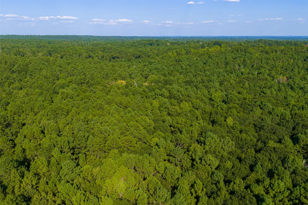 County Road 3302 Brownsboro, TX 75756