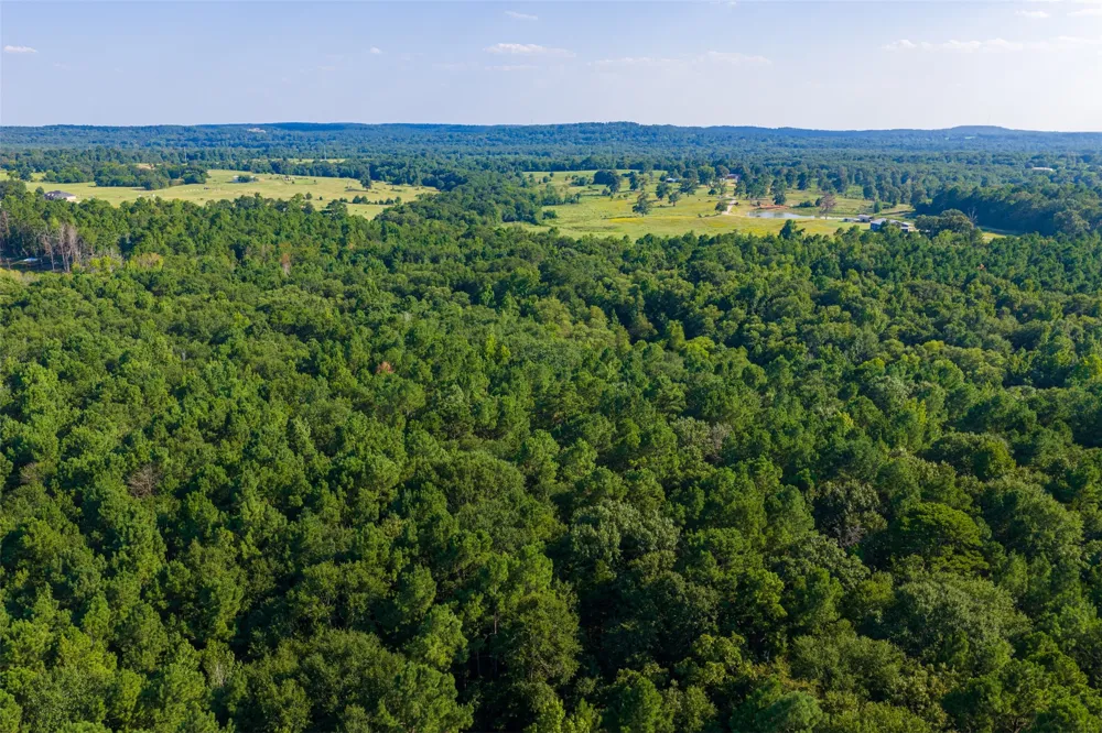 County Road 3302 Brownsboro, TX 75756