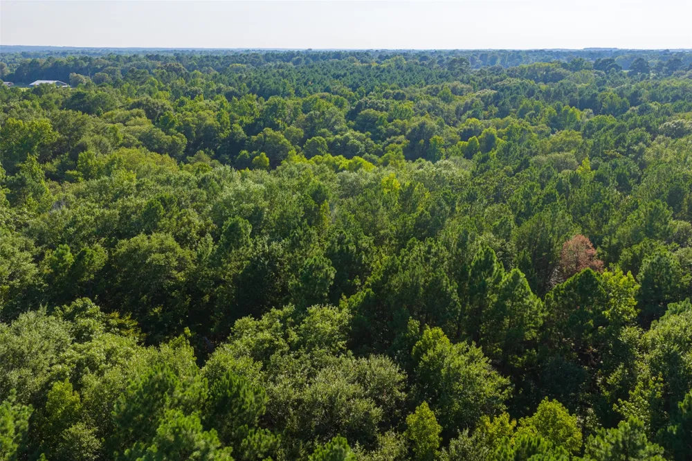 County Road 3302 Brownsboro, TX 75756
