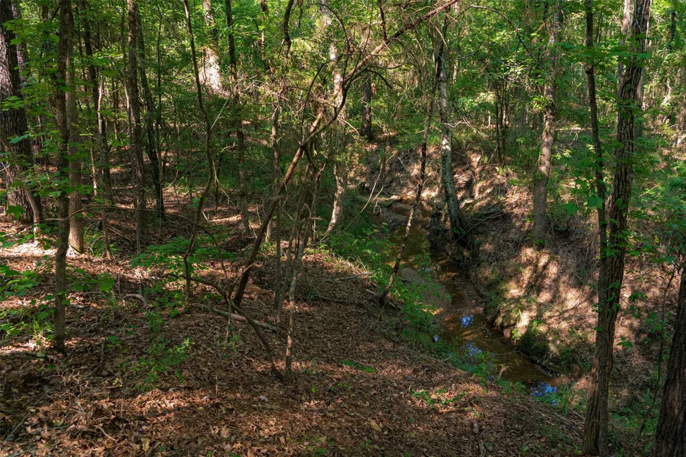 County Road 3302 Brownsboro, TX 75756