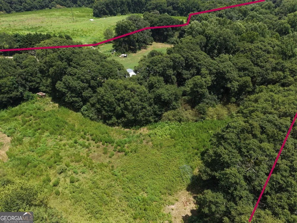 2170 Fork Creek RD Bowman, GA 30624