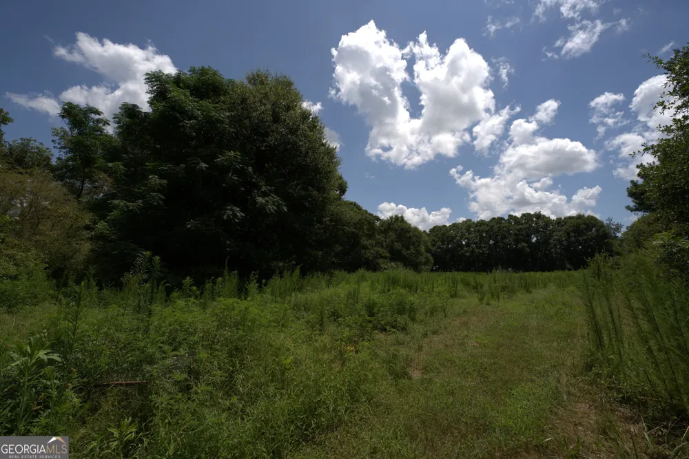 2170 Fork Creek RD Bowman, GA 30624