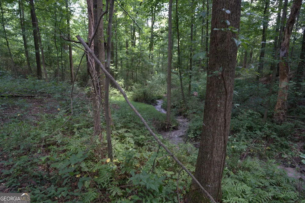 2170 Fork Creek RD Bowman, GA 30624