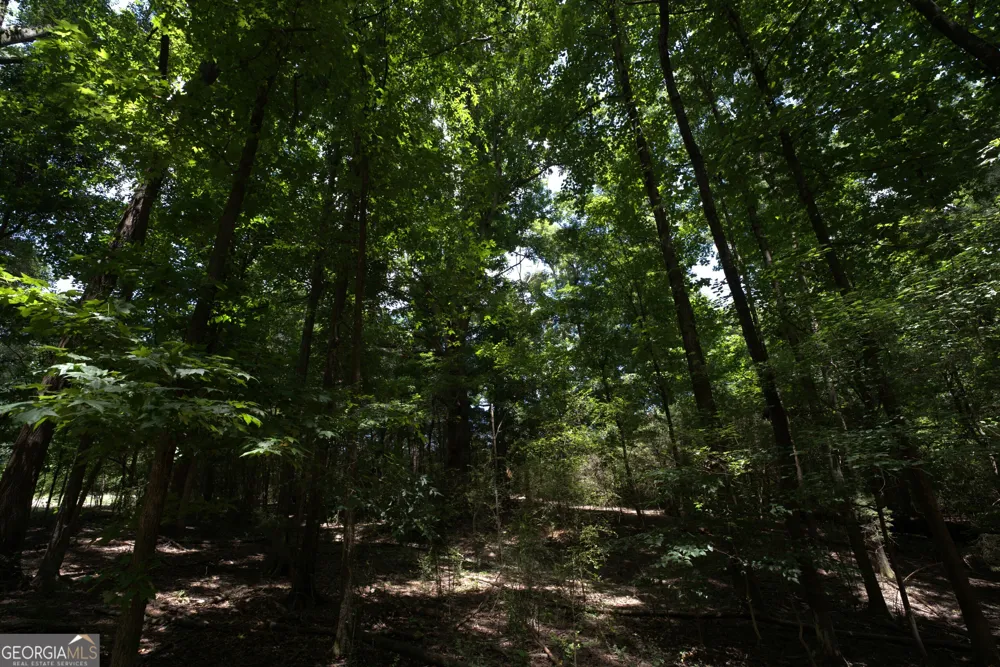 2170 Fork Creek RD Bowman, GA 30624