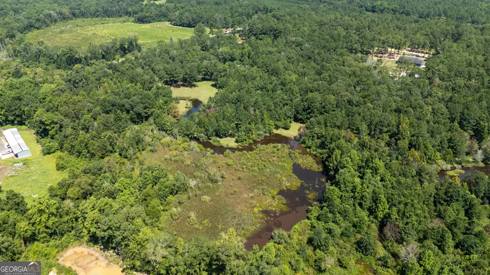 2174 Ga Highway 111 N Cairo, GA 39827