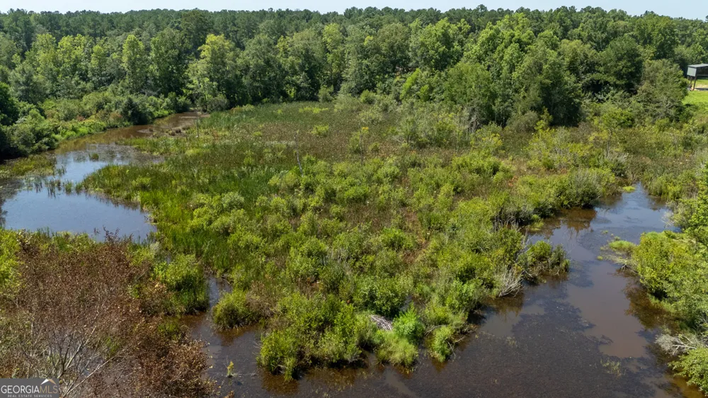 2174 Ga Highway 111 N Cairo, GA 39827