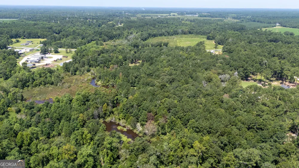 2174 Ga Highway 111 N Cairo, GA 39827