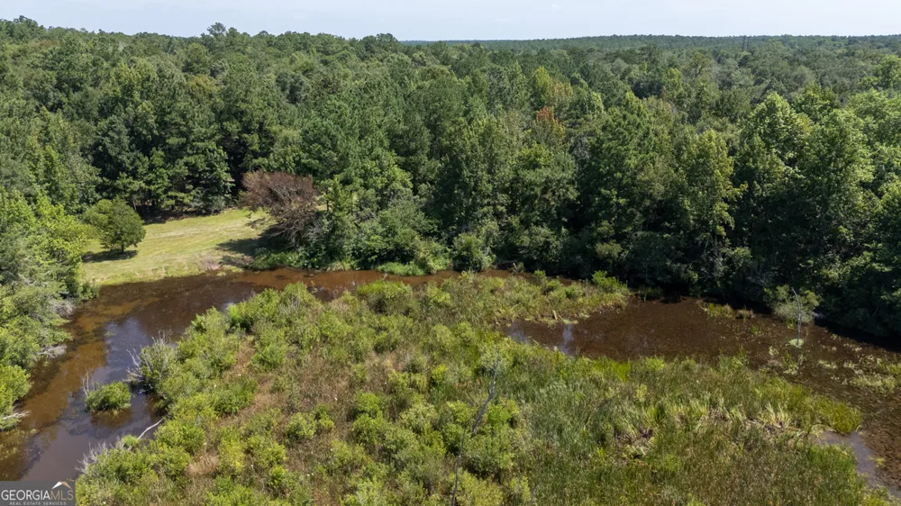 2174 Ga Highway 111 N Cairo, GA 39827