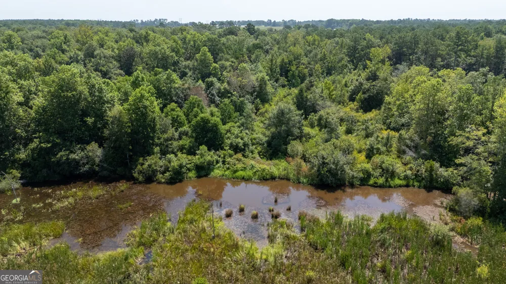 2174 Ga Highway 111 N Cairo, GA 39827