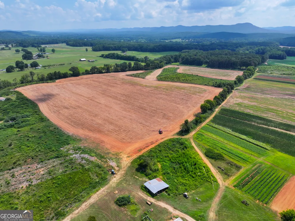 44 +/- Acres on GA Hwy 114 Lyerly, GA 30730