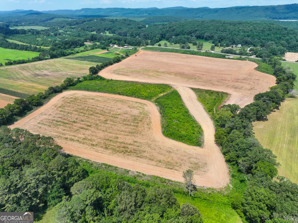 44 +/- Acres on GA Hwy 114 Lyerly, GA 30730