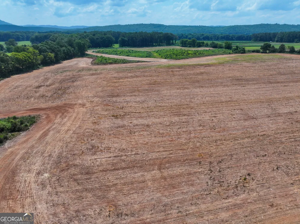 44 +/- Acres on GA Hwy 114 Lyerly, GA 30730