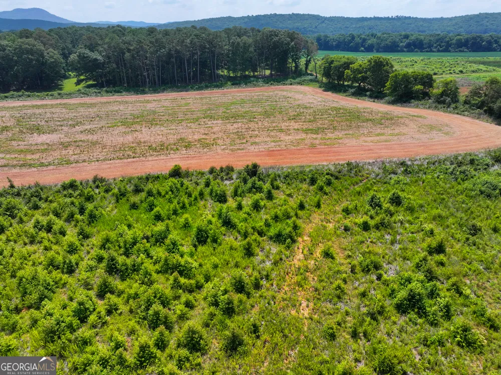 44 +/- Acres on GA Hwy 114 Lyerly, GA 30730