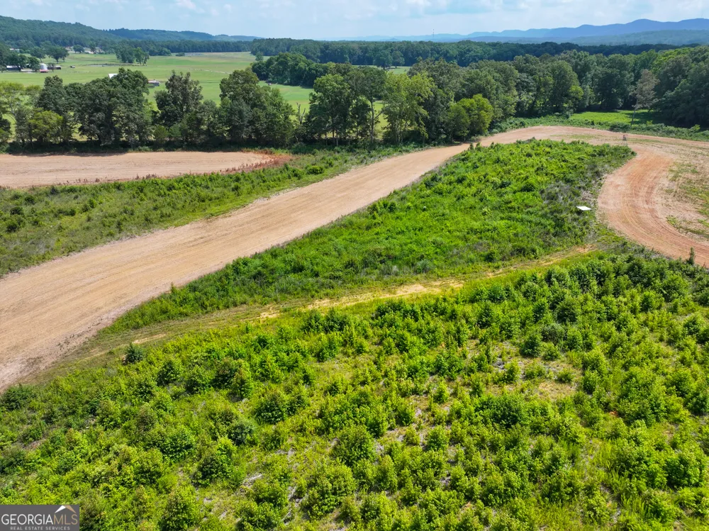 44 +/- Acres on GA Hwy 114 Lyerly, GA 30730