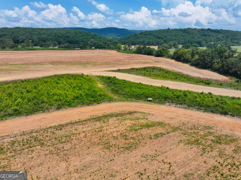 44 +/- Acres on GA Hwy 114 Lyerly, GA 30730