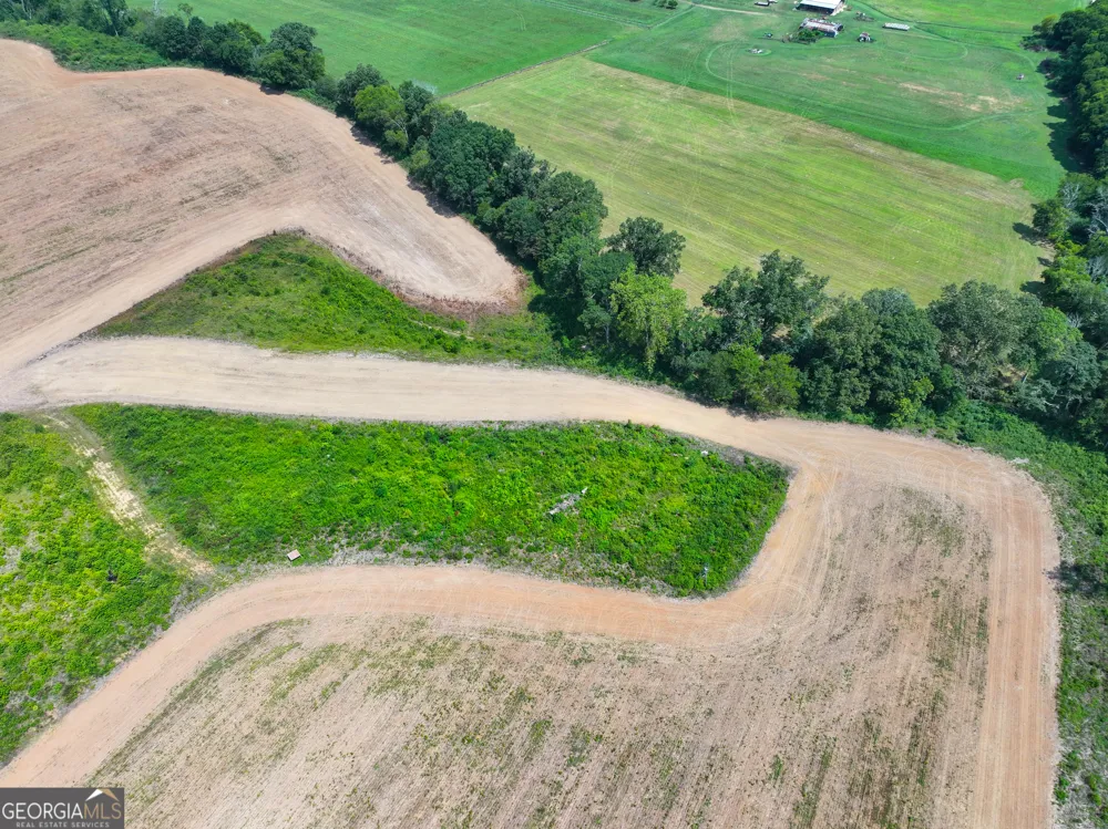 44 +/- Acres on GA Hwy 114 Lyerly, GA 30730