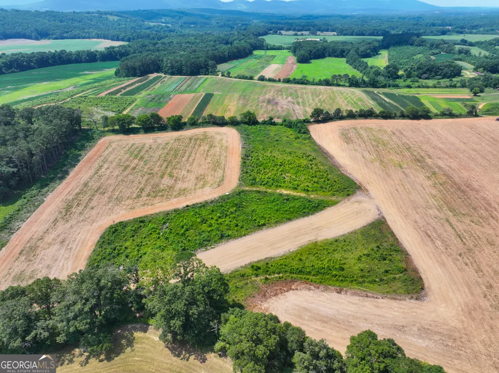 44 +/- Acres on GA Hwy 114 Lyerly, GA 30730