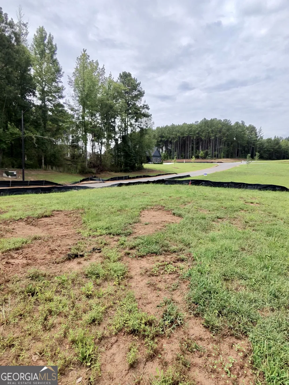 2 Wisteria LN Williamson, GA 30292