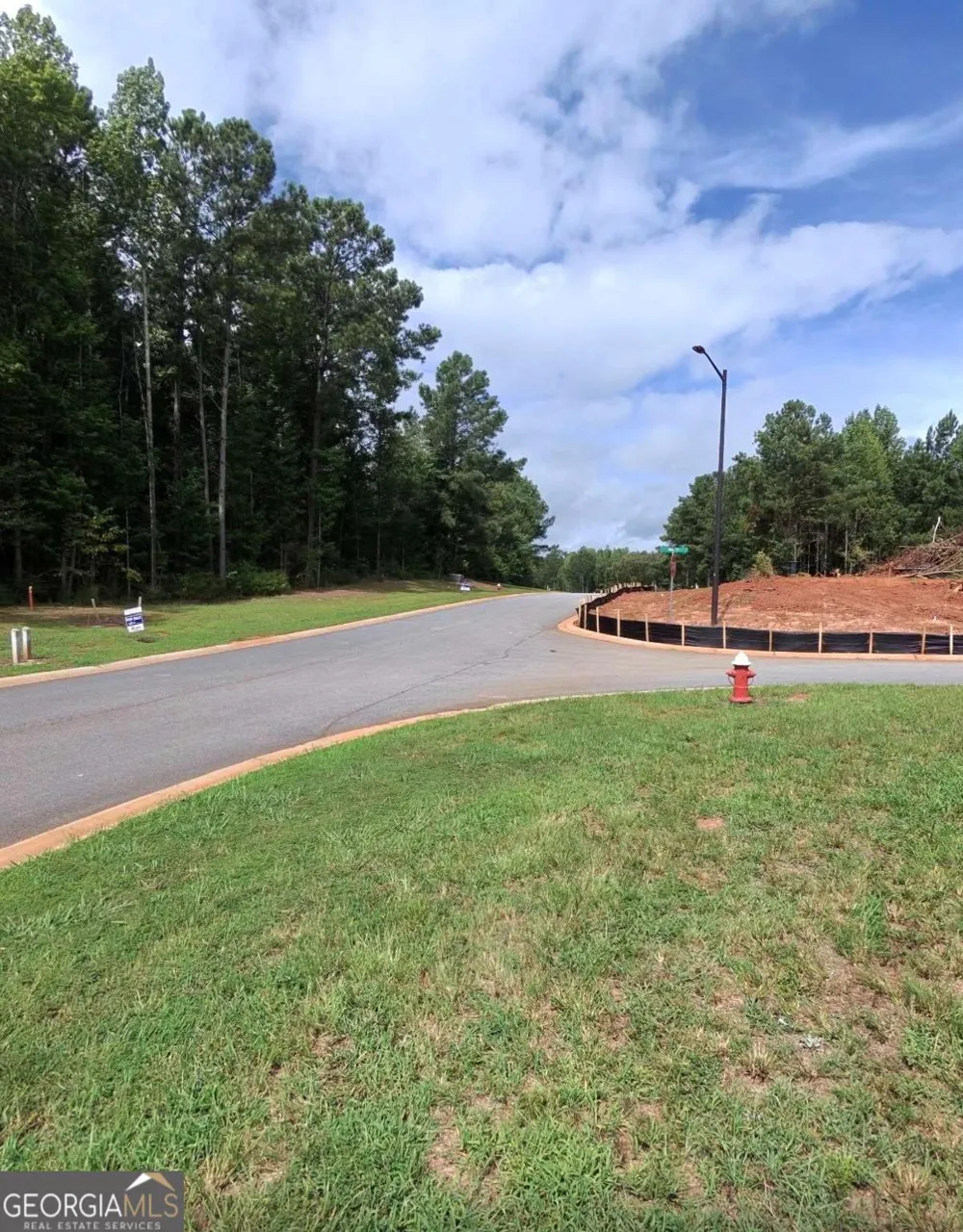3 Wisteria LN Williamson, GA 30292