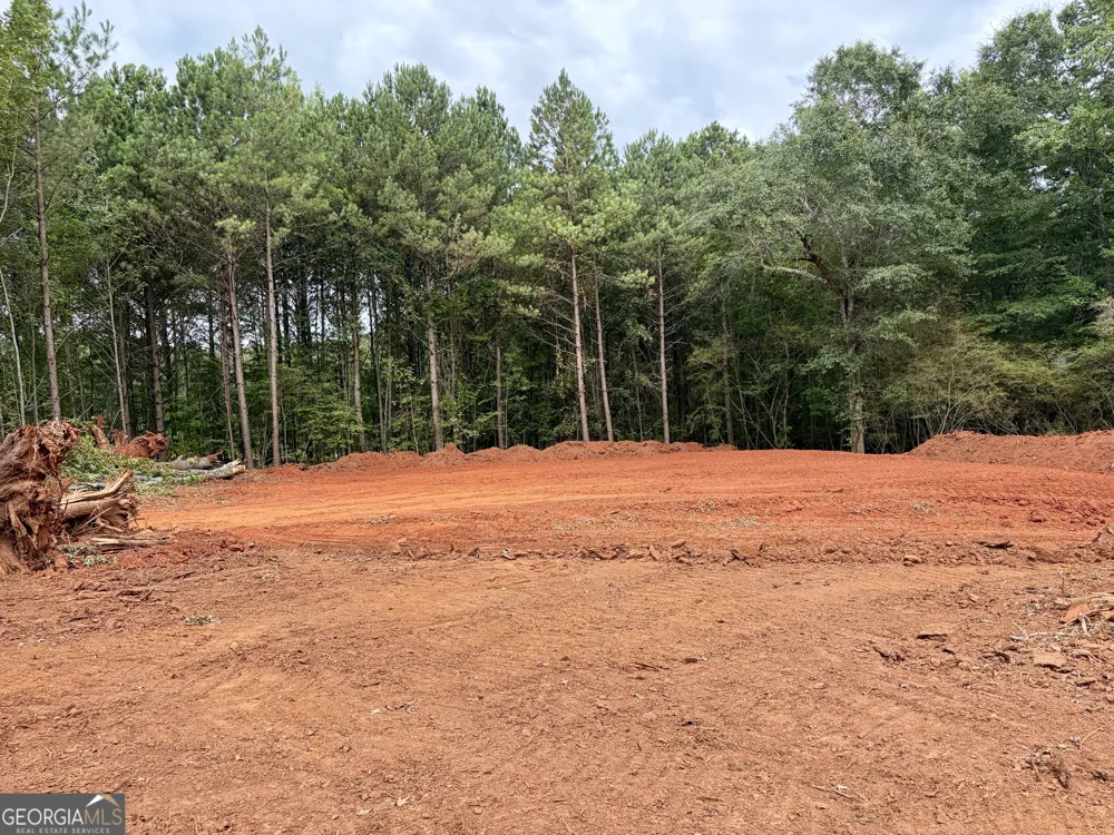 3 Wisteria LN Williamson, GA 30292