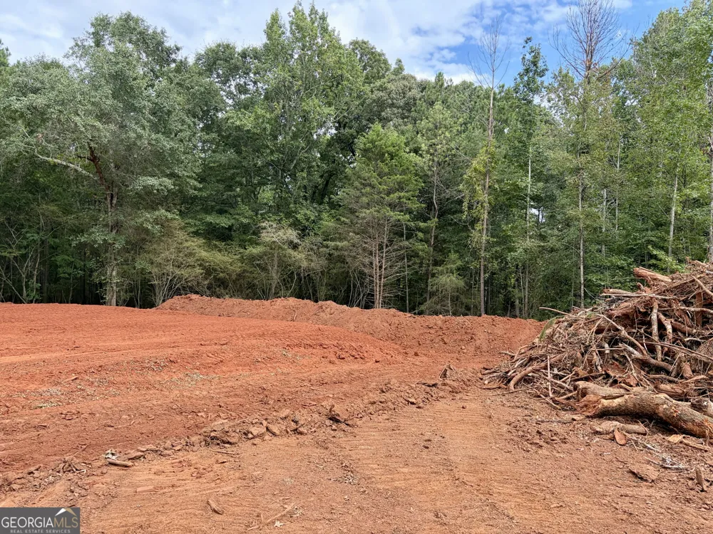 3 Wisteria LN Williamson, GA 30292