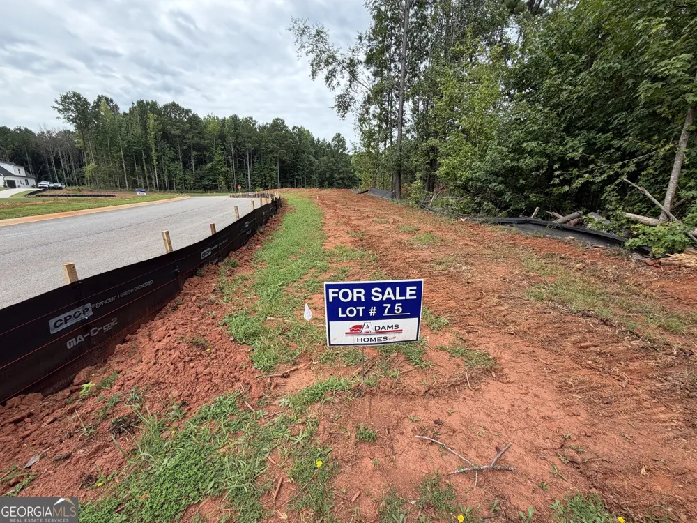 0 Oak CT Williamson, GA 30292