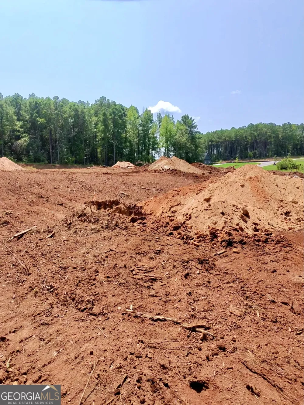 1 Wisteria LN Williamson, GA 30292