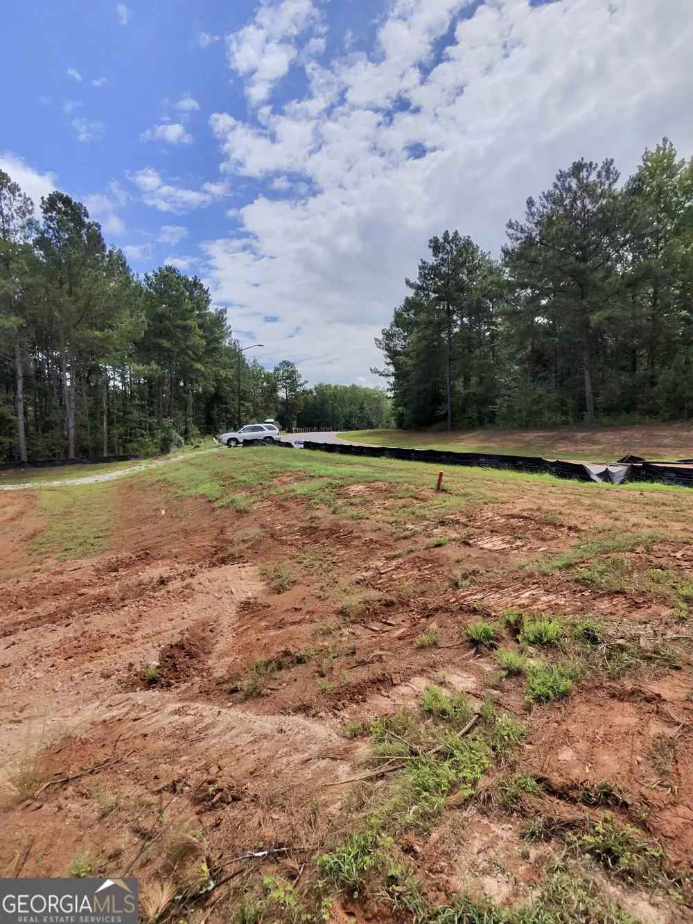 1 Wisteria LN Williamson, GA 30292
